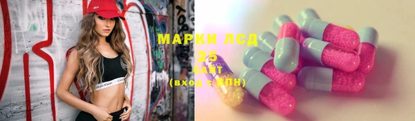прущие грибы Алексин