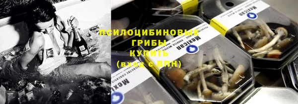 прущие грибы Алексин